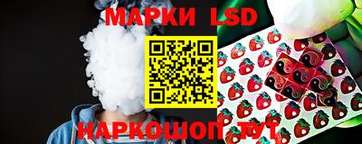 гидропоника Бийск