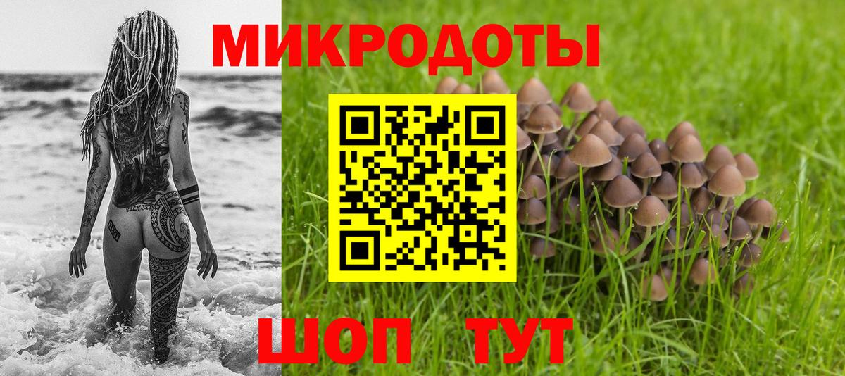 Псилоцибиновые грибы Magic Shrooms Горно-Алтайск
