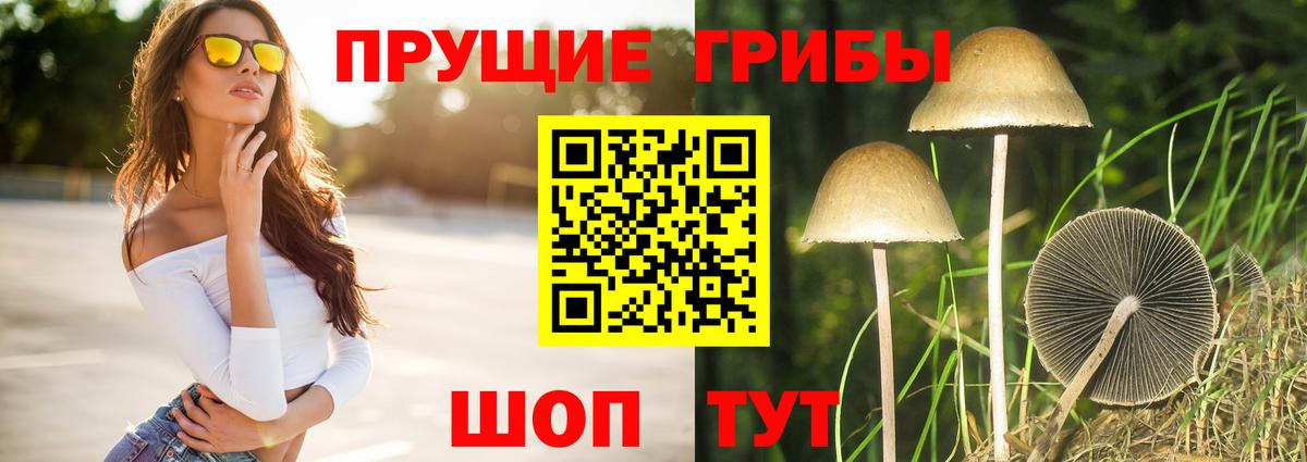 Галлюциногенные грибы прущие грибы  Вход с VPN  Горно-Алтайск  Галлюциногенные грибы Magic Shrooms 