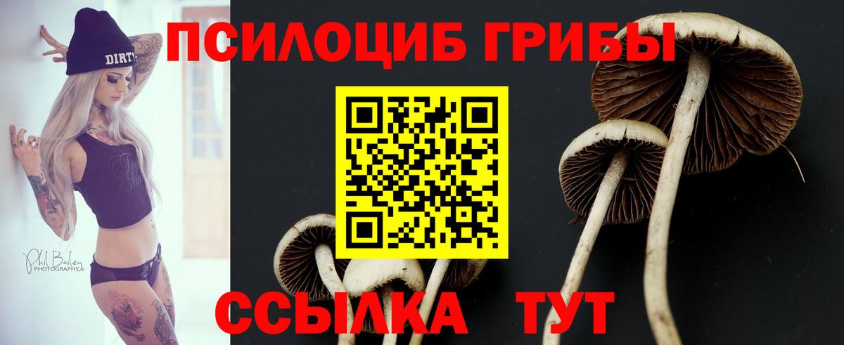 ГАШИШ  Вход с VPN  Меф МЯУ МЯУ   МЕФ  Вейп ТГК  АМФЕТАМИН кристаллы  ГАШ  Лсд 25  Горно-Алтайск  Марихуана 